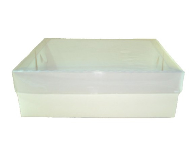 Caixa para Presente 30x22x9 BRANCO Tampa PET Com 10