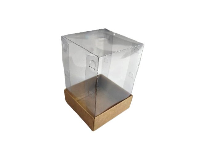 Caixa 8x8x12 KRAFT Corpo PET Com 10