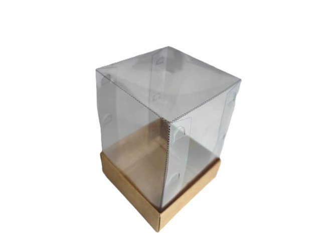 Caixa 8x8x12 KRAFT Corpo PET Com 10