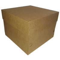 Caixa para Bolo 20x20x15 KRAFT com 05