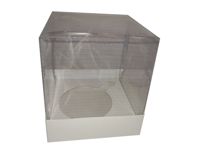 Caixa para Caneca 12x12x12 BRANCO Com Berço Corpo PET Com 10