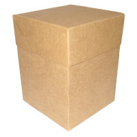 Caixa para caneca de Chopp 12x12x16 KRAFT Com 10