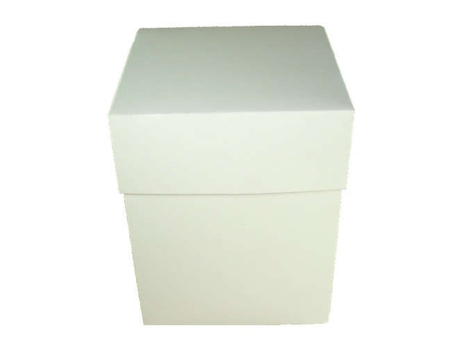 Caixa para Presente 12x12x22 BRANCO Com 10
