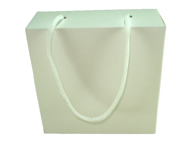 Caixa Maleta Com Alça 10x4x10 BRANCO Com 10
