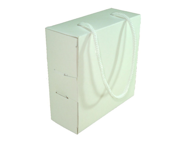 Caixa Maleta Com Alça 10x4x10 BRANCO Com 10
