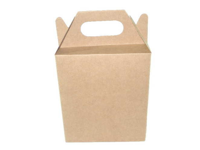 Caixa Maleta 12x6x14 KRAFT Com 10