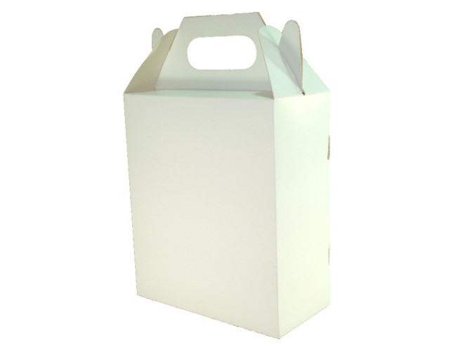 Caixa Maleta 12x6x14 BRANCO Com 10