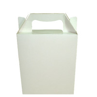 Caixa Maleta 15x6x18 BRANCO Com 10
