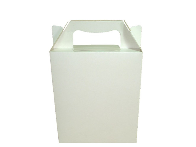 Caixa Maleta 15x6x18 BRANCO Com 10