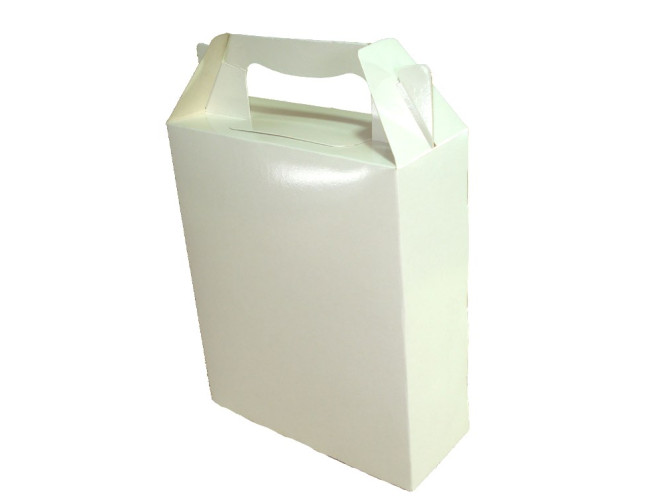 Caixa Maleta 15x6x18 BRANCO Com 10