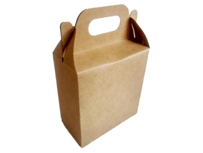 Caixa Maleta para Delivery 20x10x21 KRAFT Com 10