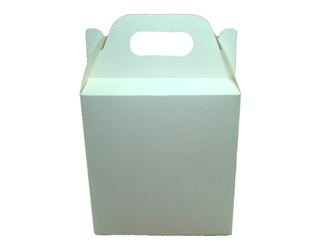Caixa Maleta para Delivery 20x10x21 BRANCO Com 10