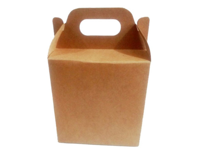 Caixa Maleta para Delivery 20x10x21 KRAFT Com 10