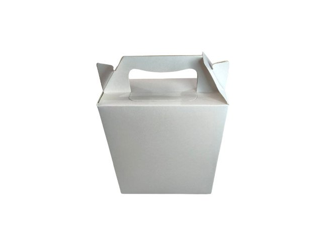 Caixa Maleta 15x6x18 BRANCO Com 10