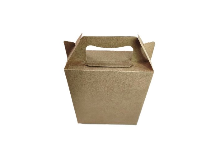 Caixa Maleta 15x6x18 KRAFT Com 10