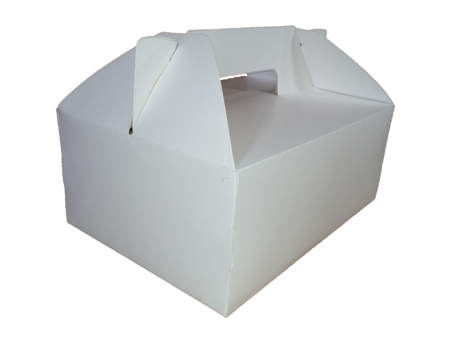 Maleta para Lanches 23x17x9,5 BRANCO com 10