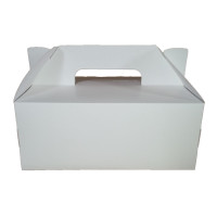Maleta para Lanches 23x17x9,5 BRANCO com 10