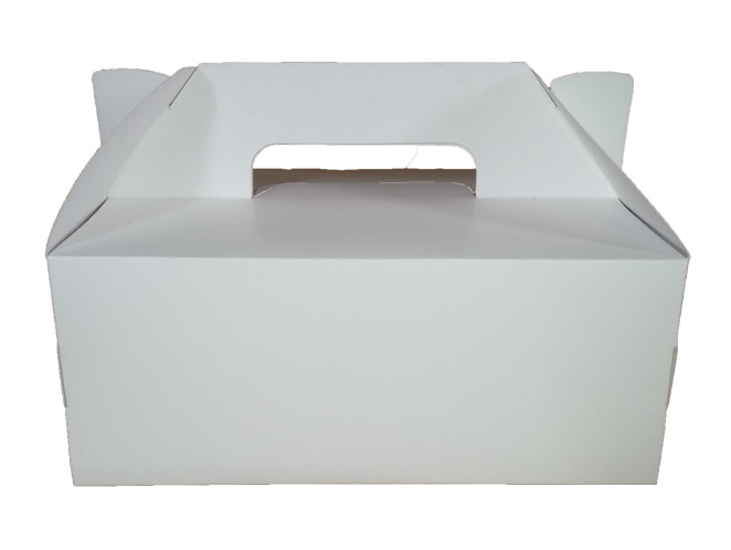 Maleta para Lanches 23x17x9,5 BRANCO com 10