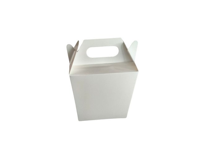Caixa Maleta 12x6x14 BRANCO Com 10
