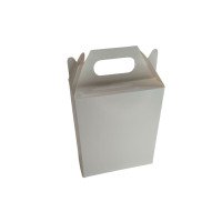 Caixa Maleta 12x6x14 BRANCO Com 10