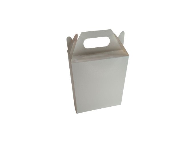 Caixa Maleta 12x6x14 BRANCO Com 10