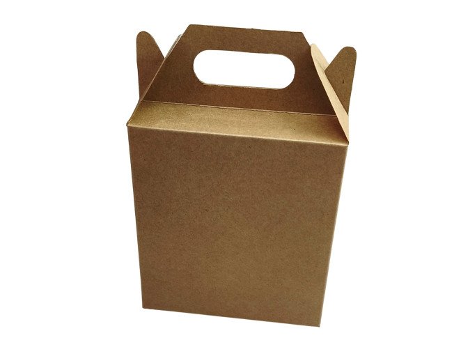 Caixa Maleta 12x6x14 KRAFT Com 10