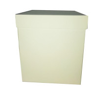 Caixa para Panetone 750 a 1Kg 17x17x20 BRANCO Com 10