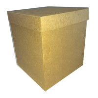 Caixa para Panetone 750 a 1Kg 17x17x20 KRAFT Com 10