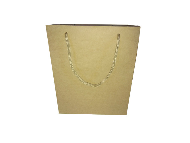 Sacola de Papel Kraft 18x10x22 Com 10