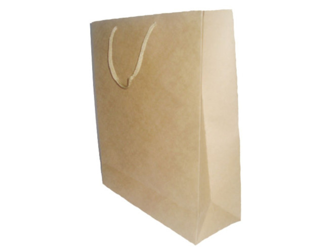 Sacola de Papel Kraft 22x10x28 Com 10