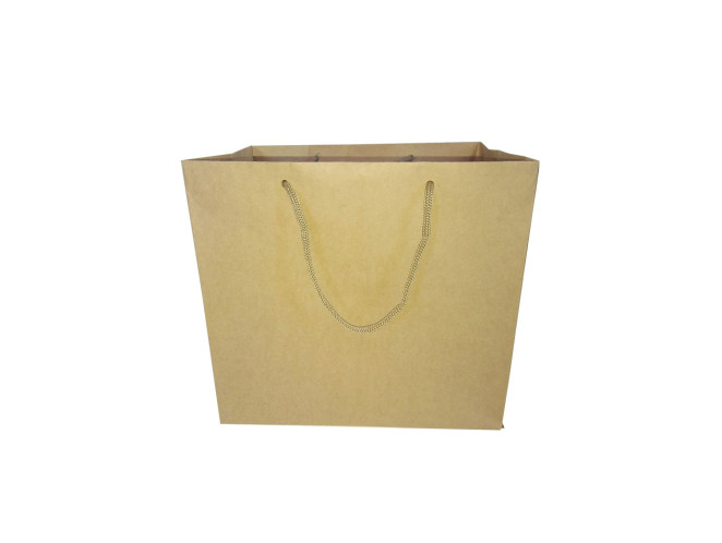 Sacola de Papel Kraft 24x17x22 Com 10