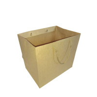 Sacola de Papel Kraft 24x17x22 Com 10
