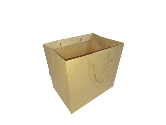 Sacola de Papel Kraft 24x17x22 Com 10 Sacola de Papel Kraft 24x17x22 Com 10