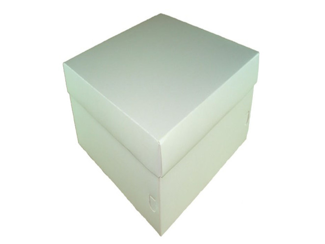 Caixa para Presente 17x17x12 BRANCO Com 10