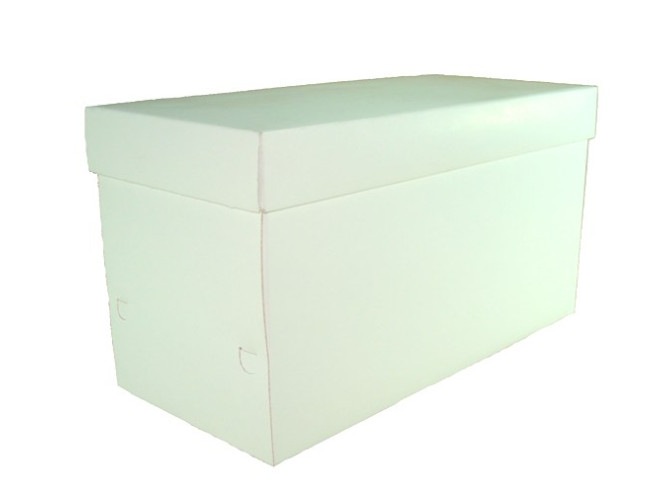 Caixa para Presentes 21x9,6x11,5 BRANCO Com 10