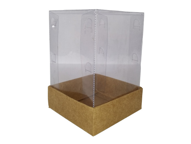 Caixa 8x8x12 KRAFT Corpo PET Com 10