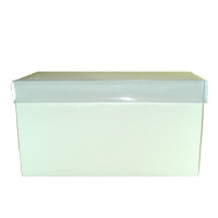 Caixa 21x9,6x11,5 BRANCO com Tampa PET Com 10