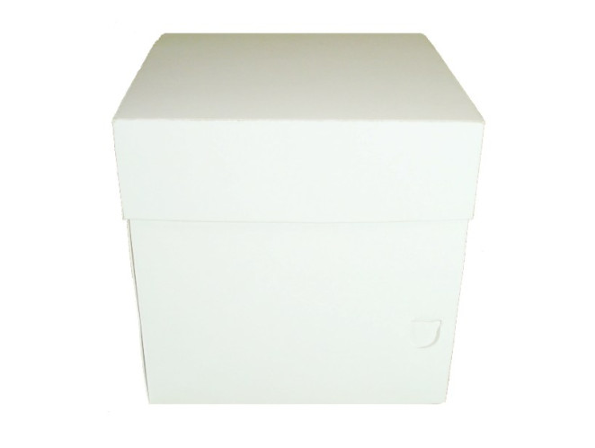 Caixa para Caneca 10x10x10 BRANCO Com 10