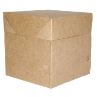 Caixa para Mini Bolo 8x8x8 Kraft Com 10
